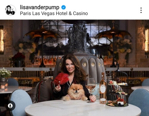 리사 밴더펌프와 반려견 퍼피. [리사 밴더펌프 인스타그램 캡처]